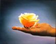 Rosa sobre mano.JPG