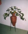 Scan_Pic0011.jpg